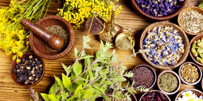 research articles on naturopathy