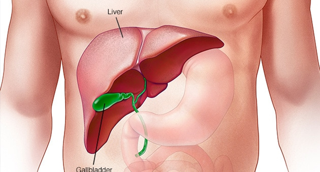cure Liver disease
